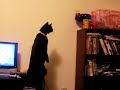 My Cat the Black Bear