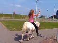 Buitenrit #1