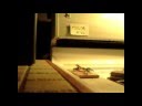 Mouse-Kill-08