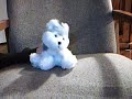 Webkinz v.s. Shinning Stars