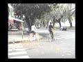 Paseo