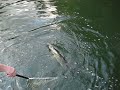Fisketur