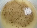 Laboratorio chimico GIEFFE