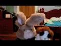 videos de bob and dave ep. 1 whoppers