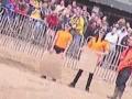 Motocross Video 2007 (chapionship) Motocross Video 2007 (chapionship)