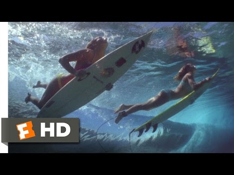 Step into - Step Into Liquid Movie Clip - watch all clips http://j.mp/NhrZFo click to subscribe http://j.mp/sNDUs5 Dana Brown explains how it's all about the wave. TM & ...