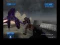 Abused Goat - 3rd Halo 2 Montage