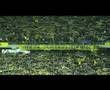 gen� fenerbah�eliler