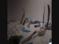 videos de Les carafes se cachent pour mourir (version longue)