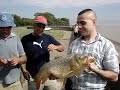 CARPAS  EN PUNTA LARA