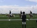 Mazzel haflinger M 4-tal dressuur Odijk