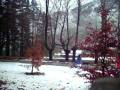 videos de Aitor y Aranza en la nieve