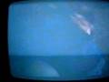  - MovieZen Video