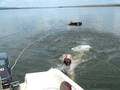 videos de Sirenitas o Ballenas en Potrero de Garay