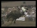 bBull Ridin! (Hamster Dance