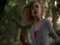 videos de Elle Fanning // Stand in The Rain