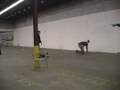 Training Police Service Dogs with Kevin Sheldahl Training Police Service Dogs with Kevin Sheldahl