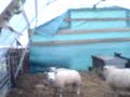 [Video]