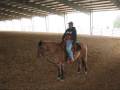 C6/C7 Quad Riding Horses 3