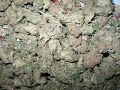 XXX Cannabis Porn XXX