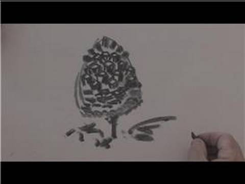 Drawing From Nature : How to Draw a Pine Cone