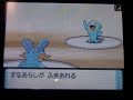 Pokemon DP Saba VS Minami Pokemon DP Saba VS Minami