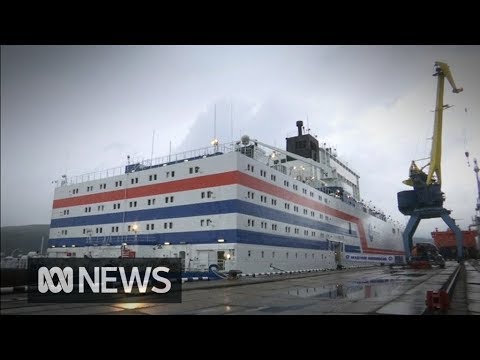動画
