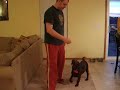 Dutch does tricks