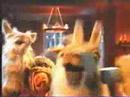 La llama que llama