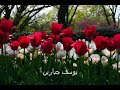 YouTube - عمرو دياب يا بحر مالك حزين 1986.flv