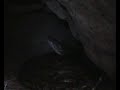 Cameroon Hunting + Phyton Pithole Dive