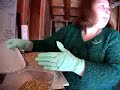 Condor Egg At The Oregon Zoo!