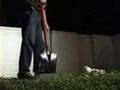 Hot new horror movie's trailer: serial killer story