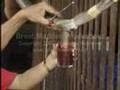 Cambodia Cobra Snake Eating and Blood Drinkng Cult