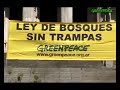 Moratoria a los desmontes Ya!