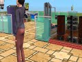 Sims 2 - 1 minute pregnancy and birth of twins