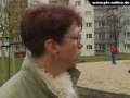 Bild 1 aus dem Beitrag
