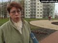 Bild 1 aus dem Beitrag