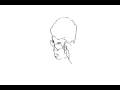 Stevin.wmv