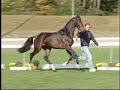 SIR DONNERHALL/RUBIN ROYAL