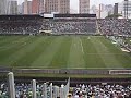 palmeiras arquibancada