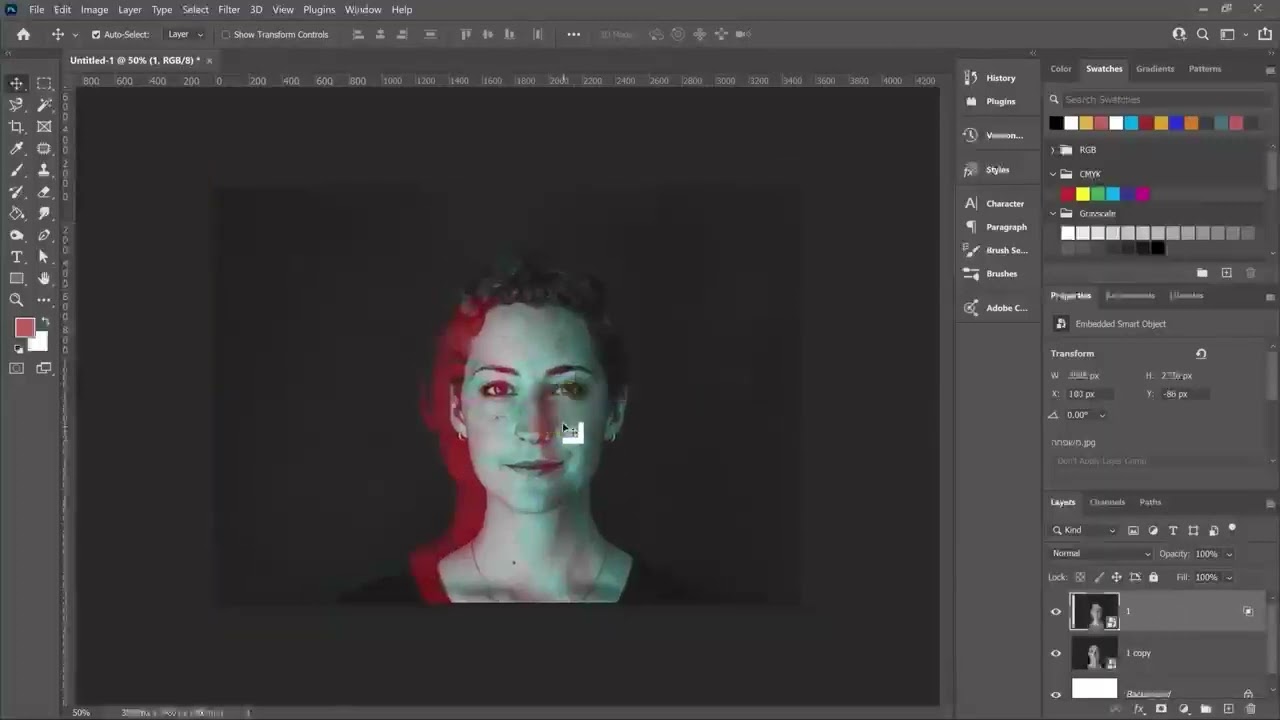 DUOTONE EFFECT IN PHOTOSHOP