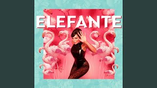 Elefante