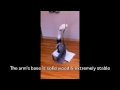 Arm Scratching Post Demo