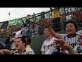 Click here to watch this video 阪神タイガース 新しい応援！ご利益ありか？笑