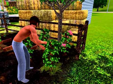 how to fertilize plants sims 3 xbox