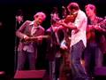 Ophelia - Punch Brothers