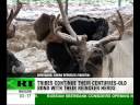 Nomadic life on reindeer land