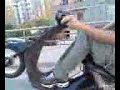 Crazy LEB on scooter Crazy LEB on scooter