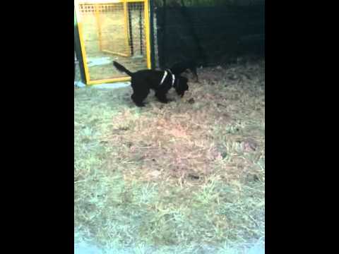 Guarda il video >>